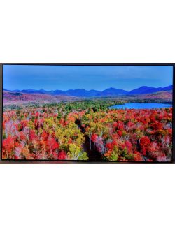 Telewizor LG OLED65G49LS 65" OLED evo AI 4K UHD 120Hz SmartTV DVB-T2 WiFi 6 - 5