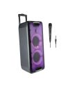 Głośnik Przenośny NGS WILD Rave 2 300 W LED Bluetooth Mikrofon - 1