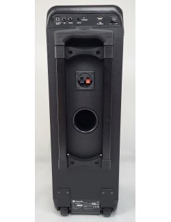Głośnik Przenośny NGS WILD Rave 2 300 W LED Bluetooth Mikrofon - 9