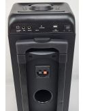 Głośnik Przenośny NGS WILD Rave 2 300 W LED Bluetooth Mikrofon - 10