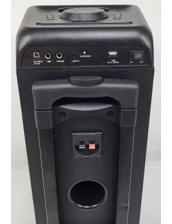 Głośnik Przenośny NGS WILD Rave 2 300 W LED Bluetooth Mikrofon - 10