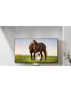 Telewizor Laser TV Hisense 120L5HA 120" 4K HDR Dolby HDMI 2.1 Smart TV - 3